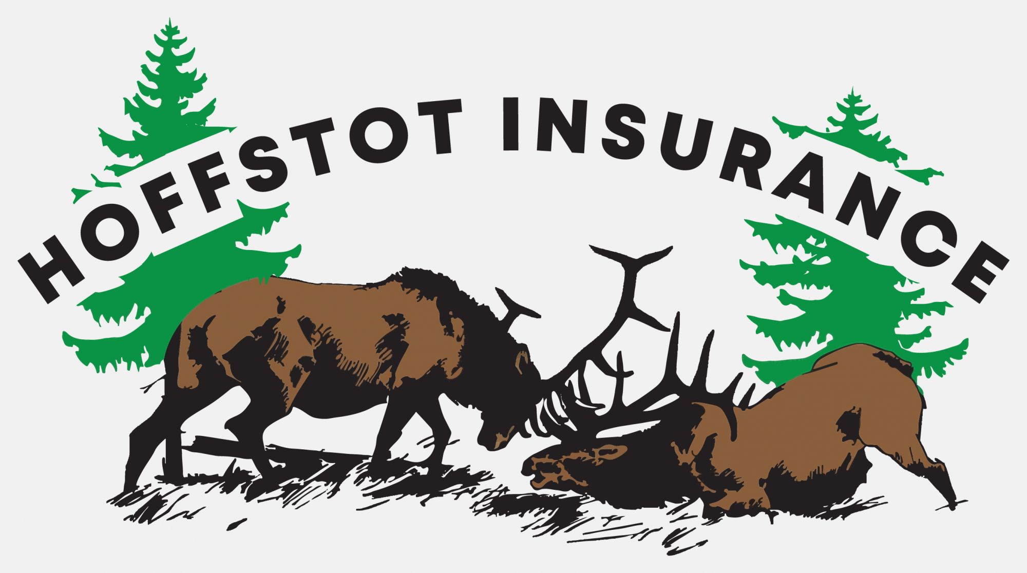 Ryan Hoffstot Insurance Agency Inc. - About Us