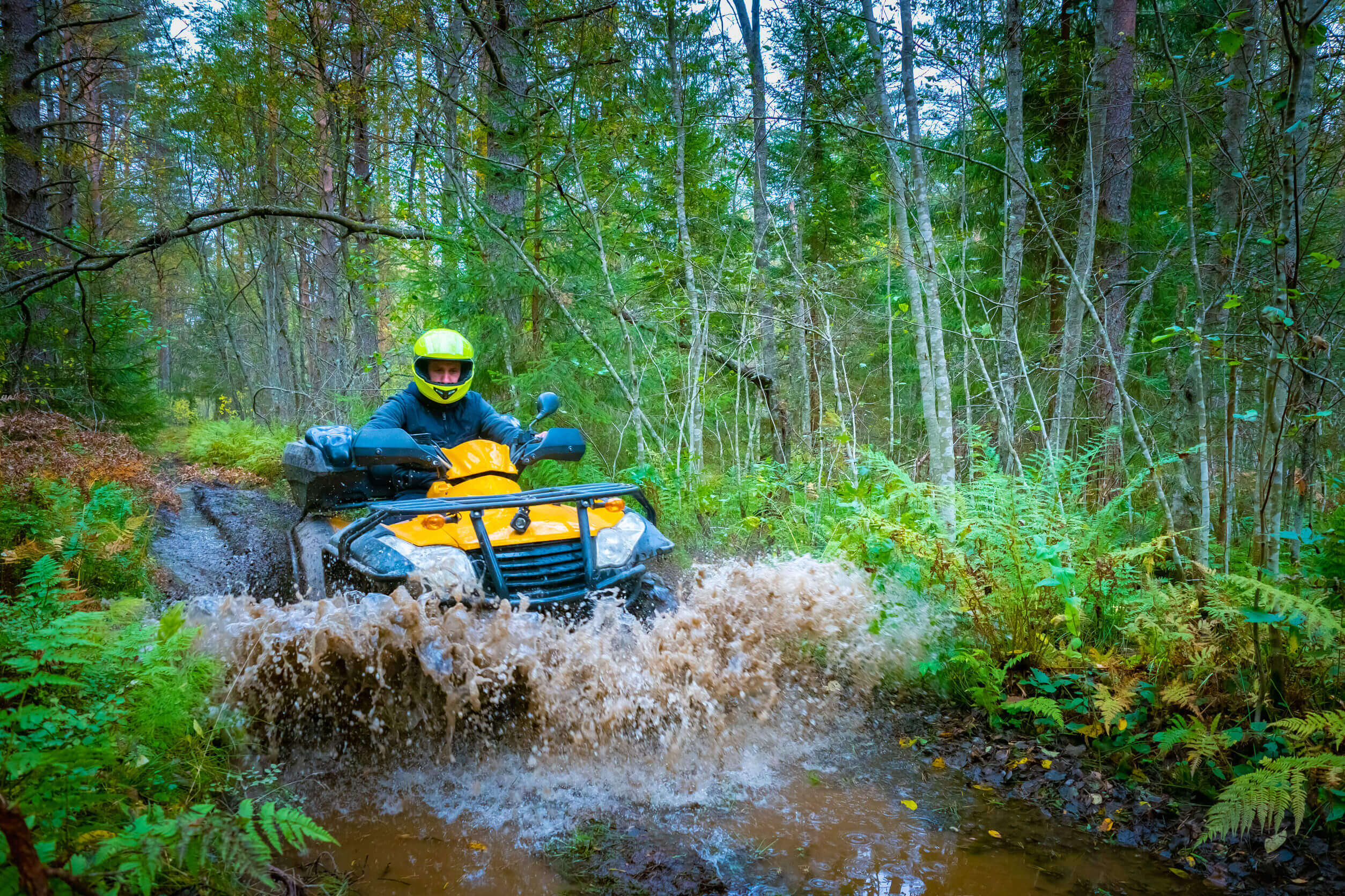Our agency has been serving the community for more than 40 years.  ATV Insurance.1